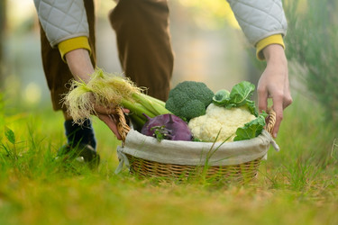 Similar image 22352601