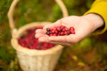 Similar image 22354384