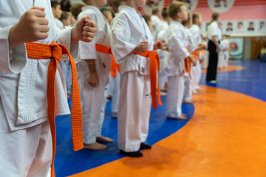 Similar image 22351099