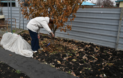 Similar image 22354895