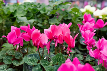 Similar image 22354899