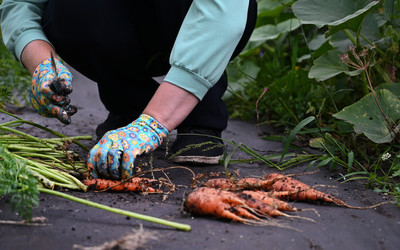 Similar image 22354900