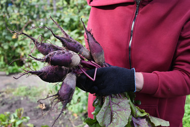 Similar image 22354901