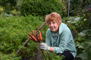 Similar image 22354904