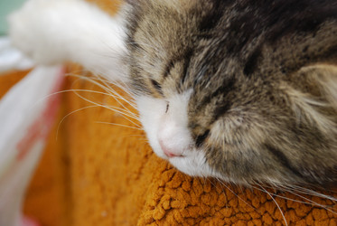 Similar image 22371654