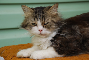 Similar image 22371655