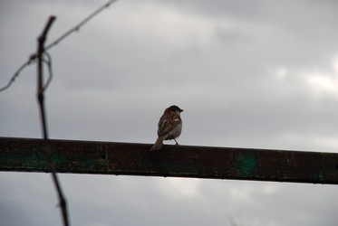 Similar image 22373567