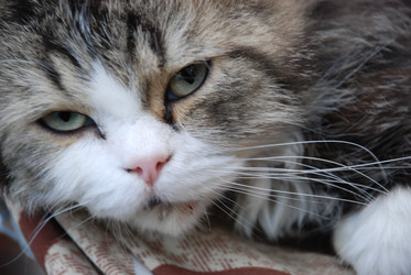 Similar image 22373568