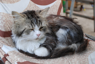 Similar image 22373582