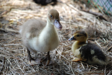 Similar image 22373584