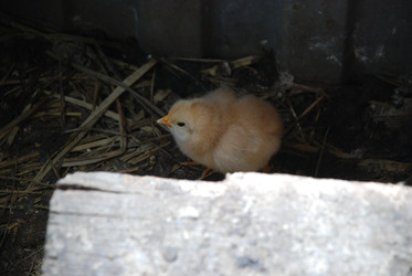 Similar image 22373585