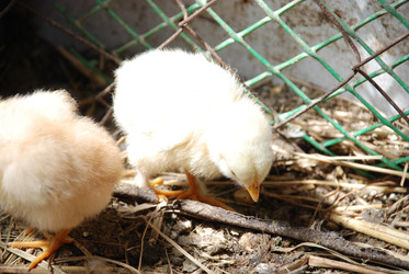 Similar image 22373586