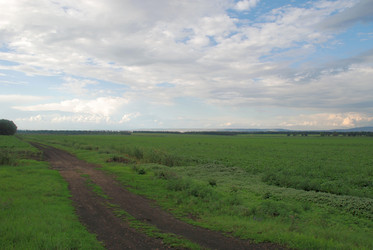 Similar image 22373588