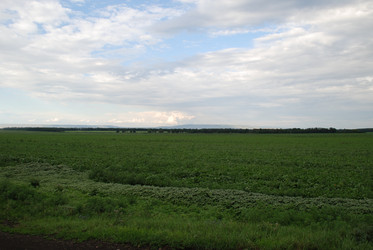 Similar image 22373589