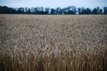 Similar image 22373593