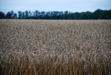 Similar image 22373595