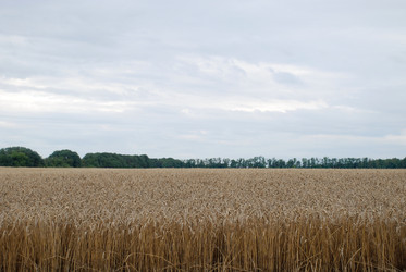 Similar image 22373596