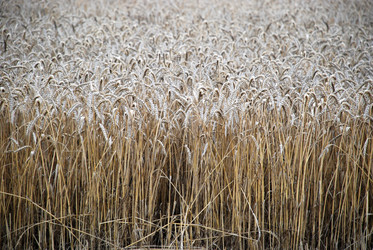 Similar image 22373598