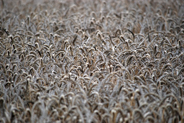 Similar image 22373602