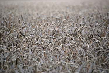 Similar image 22373603