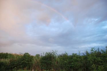 Similar image 22373606