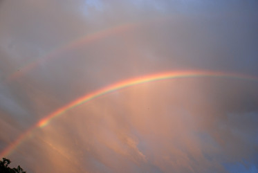 Similar image 22373609