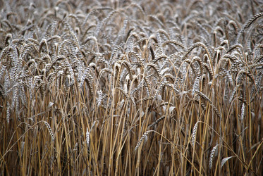 Similar image 22373611