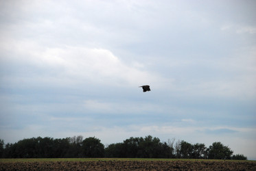 Similar image 22373614