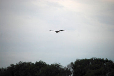 Similar image 22373615