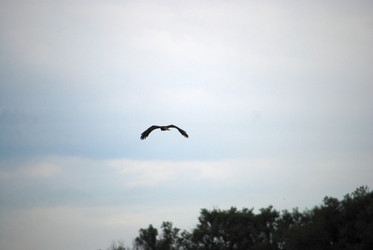 Similar image 22373616