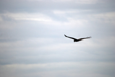 Similar image 22373618