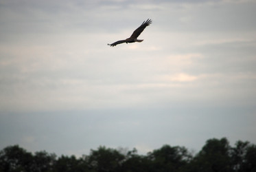 Similar image 22373619