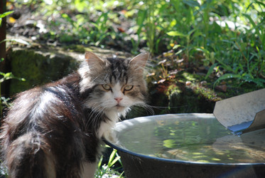 Similar image 22373624