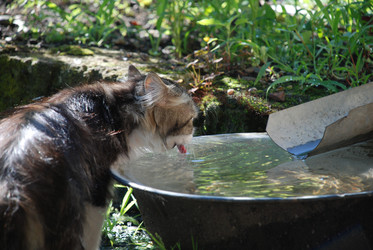 Similar image 22373625