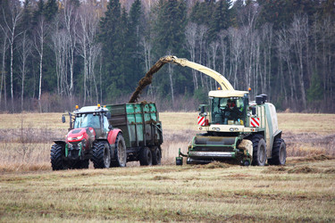 Similar image 22348824