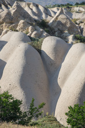 Similar image 22351590