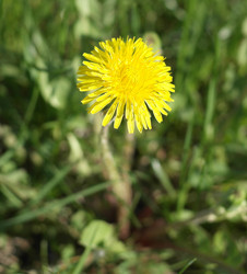 Similar image 22352530