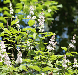 Similar image 22352636