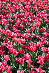 Similar image 22352756