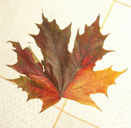 Similar image 22352798