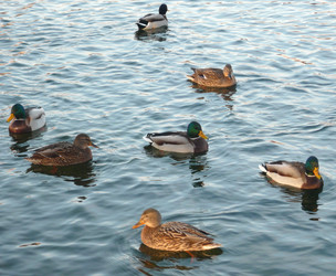 Similar image 22379207