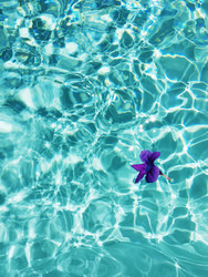 Similar image 22374764