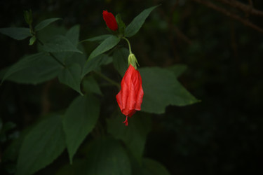 Similar image 22349674