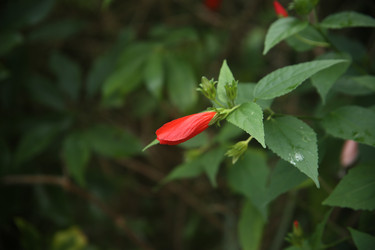 Similar image 22349675