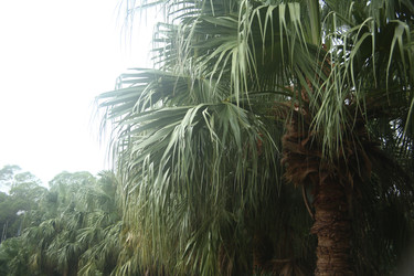 Similar image 22349676