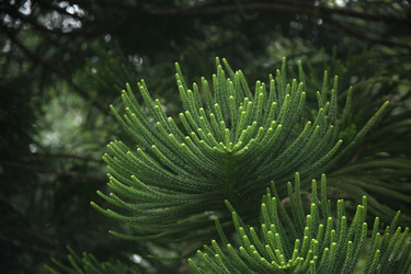 Similar image 22349678