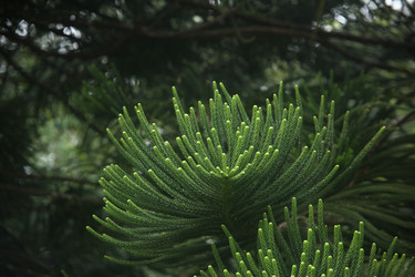 Similar image 22349679