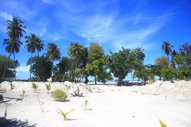 Similar image 22349683