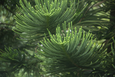 Similar image 22349684