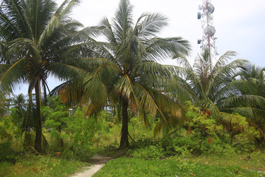 Similar image 22349685